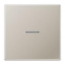 JUNG HOME BT ES 17101 Taster 1fach, mit Lichtleiter, Edelstahl
