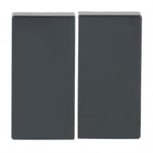 BUSCH-JAEGER 6736 FoH-81 Wippe für Smart Switch 2-fach anthrazit - Plattform 63