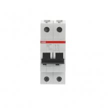 ABB S202M-D2 Sicherungsautomat D-Char., 10 kA, 2 A, 2P