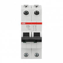 ABB S202-B100 Sicherungsautomat B-Char., 6kA, 100A, 2P