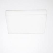 Trilux LED-Wand- und Deckenleuchte Olisq QWD3 3000lm 4000K quadratisch #385881