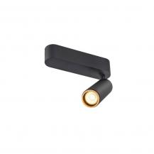 SLV 1009071 GRIP! M Deckenaufbauleuchte single 3000K 14W 42° schwarz/gold CRI90 IP20 dimmbar