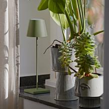 Sigor Akku-Tischleuchte Nuindie USB-C 380mm tannengrün 2,2W FlexMood 2200K/2700K IP54 168/197lm Ra85