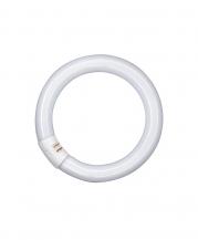 OSRAM G10q LED-Leuchstoff Röhre in Ringform 40W 4000K  EM neutralweißes Licht