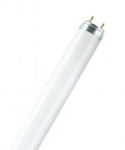 OSRAM LUMILUX T5 Short L 13 W/840 13 W G5 4000 K Neutralweiß 920 lm 531 mm