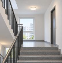 LEDVANCE Surface Circular LED 250 Decken-/Wandleuchte IP44 13W 3000K warmweißes Licht