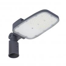 LEDVANCE STREETLIGHT AREA SMALL RV20ST 45W 740 Straßenleuchte 6075lm 4000K IP66