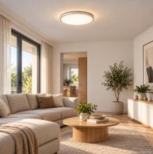 LEDVANCE ORBIS DUBLIN LED-Deckenleuchte 24W 1600lm 3000K warmweiß Ø390mm Silber