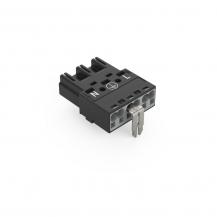 WAGO 770-213/002-000 Stecker mit PE-Direktkontakt WINSTA MIDI