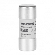 ABB E 9F22 GG25 Sicherung 22x58mm für E90/125