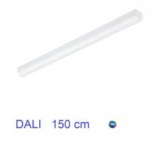 150cm PHILIPS Ledinaire LED Lichtleiste BN126C LED52S/840 PSD TW1 L1500 41W 5200lm weiß mit neutralweißem Licht DALI
