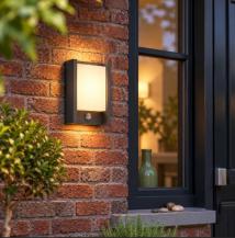 Philips Arbour IR LED-Außenwandleuchte 6 W 600 lm 2700 K mit Bewegungsmelder Anthrazit IP44