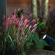 Philips Hue White and Color Ambiance Lily LED Outdoor Strahler Erweiterung LED IP65