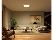 Philips Hue Surimu Quadratisches LED-Panel 60 x 60cm - RGBW multicolor