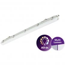 120cm Philips Ledinaire Feuchtraumleuchte WT065C LED 1200mm 2900–4800lm 4000K IP65 IK08 MultiLumen