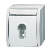 Busch-Jaeger 2733 SLW-54 Schlüsselschalter Ausschaltung 1-polig