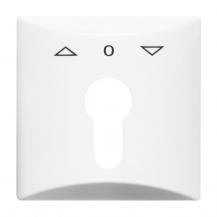 Busch-Jaeger 2155 PZ-34 Zentralscheibe mit Aufdruck