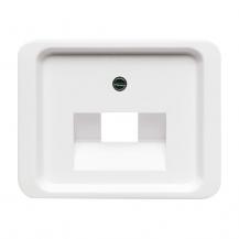 Busch-Jaeger 1803-24G Zentralscheibe für UAE-Anschlussdosen