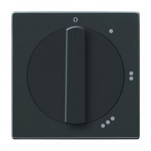 Busch-Jaeger 2542 DR/01-81 Zentralscheibe mit Drehgriff mit Aufdruck