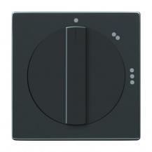 Busch-Jaeger 2542 DR/02-81 Zentralscheibe mit Drehgriff mit Aufdruck