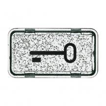 Busch-Jaeger 2622 TR-101 Tastersymbol Schlüssel