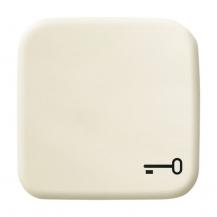 Busch-Jaeger 2520 TR-212 Wippe mit Aufdruck Schlüssel