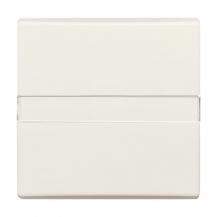 Busch-Jaeger 2106 N-32 Wippe mit Beschriftungsfeld