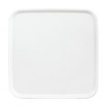 Busch-Jaeger 2548-214-50 A Blindzentralscheibe