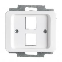 Busch-Jaeger 2561-02-24G Zentralscheibe mit Tragring