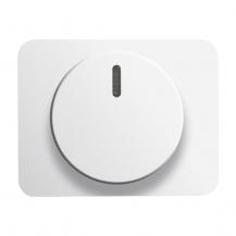 Busch-Jaeger 6540-24G Zentralscheibe mit Drehknopf Bef.-Mutter und Glimmlampe