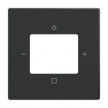 Busch-Jaeger 8252-81-101 Zentralscheibe