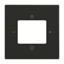 Busch-Jaeger 8252-885-101 Zentralscheibe