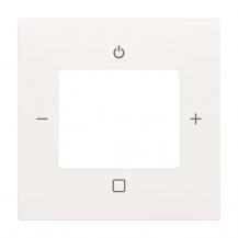 Busch-Jaeger 8252-914-101 Zentralscheibe