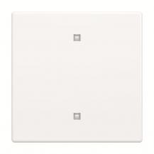 Busch-Jaeger 2570-10-84 2570-10-84 Wippe Elektroniktaster