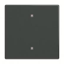 Busch-Jaeger 2570-10-81 2570-10-81 Wippe Elektroniktaster