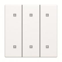 Busch-Jaeger 2570-30-884 2570-30-884 Wippe 3-fach Elekroniktaster