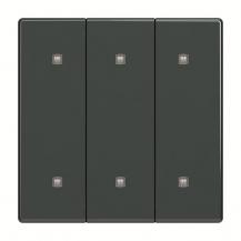 Busch-Jaeger 2570-30-81 2570-30-81 Wippe 3-fach Elekroniktaster