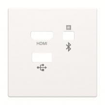 Busch-Jaeger 8256-884 Zent.Sch. Media Connector