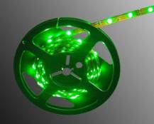 Bioledex LED Streifen 12V 5W je m 60LED je m 5m Rolle grün