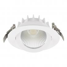 EVN LED Deckenleuchte, schwenkbar mit Netzgerät P54250125