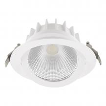 EVN LED Deckenleuchte, schwenkbar mit Netzgerät P54350125