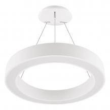 EVN LED Pendelleuchte mit CCT Switch RPT600125
