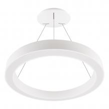 EVN LED Pendelleuchte mit CCT Switch RPT800125