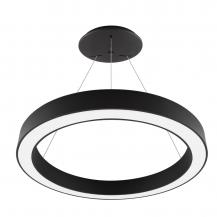 EVN LED Pendelleuchte mit CCT Switch RPT800925