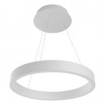 EVN LED Pendelleuchte mit CCT Switch RTS400125