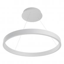 EVN LED Pendelleuchte mit CCT Switch RTS600125
