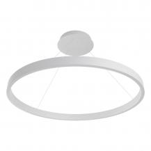 EVN LED Pendelleuchte mit CCT Switch RTS800125