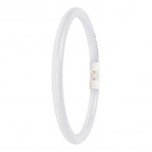 Ledvance  LED T5 FC 22 EXTERNAL 11.6W 840 2GX13