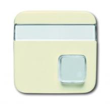 Busch-Jaeger 1571 CN-212 Zentralscheibe 1-fach mit Beschriftungsfeld