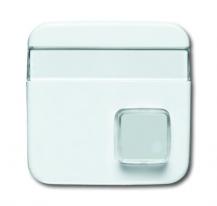 Busch-Jaeger 1571 CN-214 Zentralscheibe 1-fach mit Beschriftungsfeld